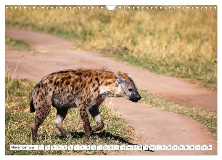 Produktbild: Big10 Of Masai Mara Kenya Africa (Wall Calendar 2026 DIN A3 landscape), CALVENDO 12 Month Wall Calendar