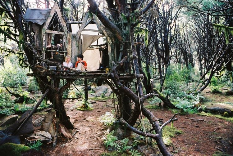 Produktbild: Br&uuml;cke nach Terabithia