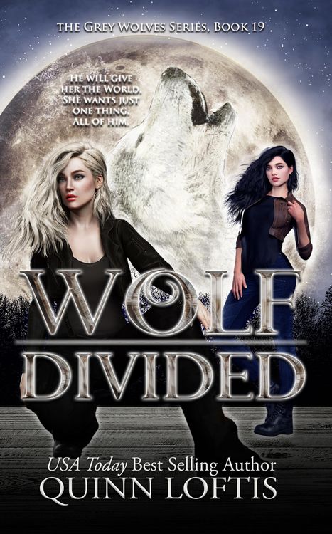 Produktbild: Wolf Divided