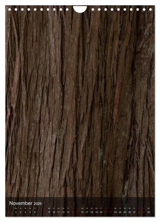 Produktbild: B&Auml;UME DER ERDE - DIE FANTASTISCHE WELT DER RINDE (Wandkalender 2026 DIN A4 hoch), CALVENDO Monatskalender