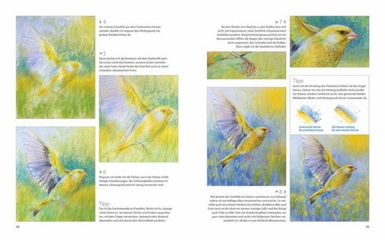 Produktbild: Natur in Pastell
