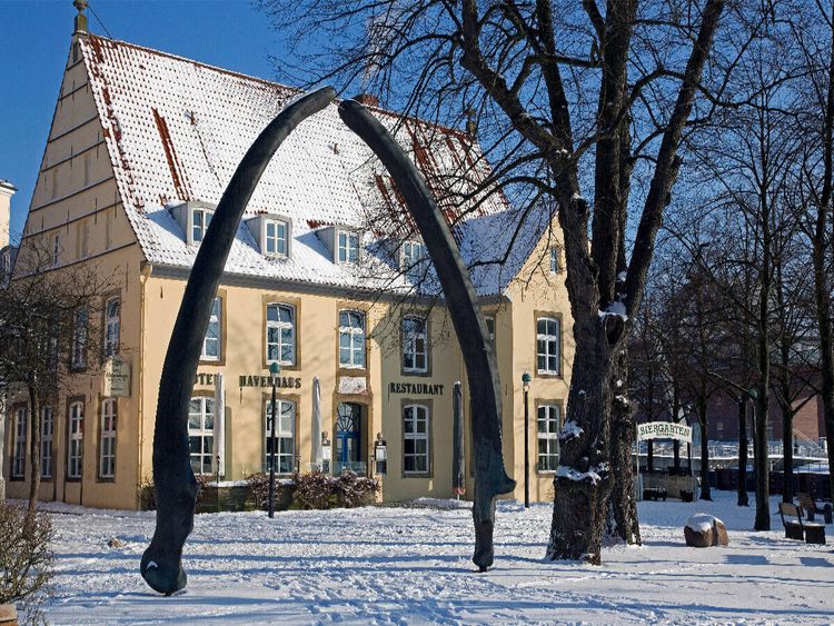 Produktbild: Walkiefer vor dem Hotel Havenhaus (Puzzle)