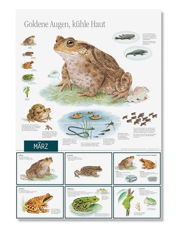 Produktbild: Natur erleben durch das Jahr - 2