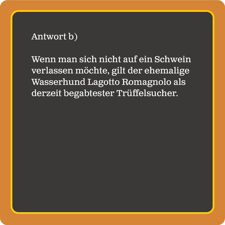 Produktbild: Das Hunde-Quiz (Neuauflage)
