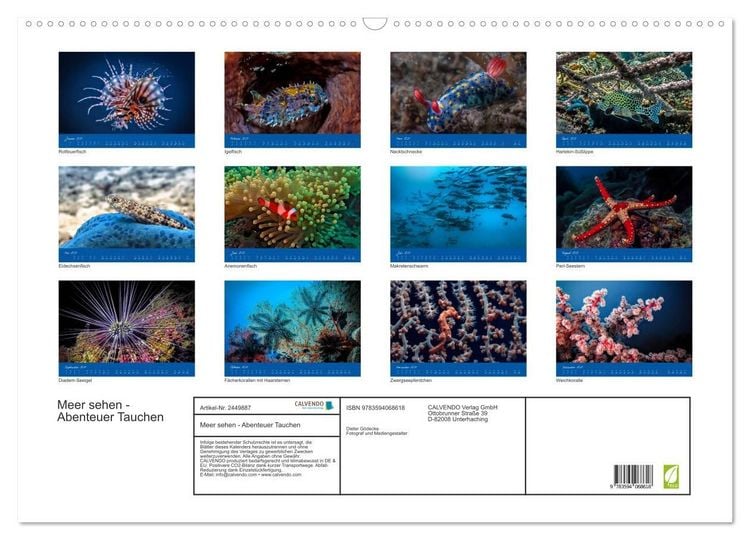 Produktbild: Meer sehen - Abenteuer Tauchen (Wandkalender 2027 DIN A2 quer), CALVENDO Monatskalender