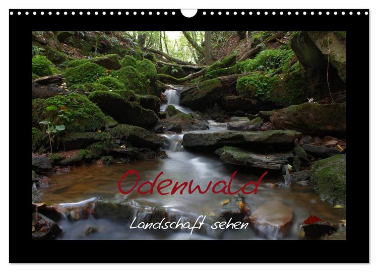 Produktbild: Odenwald - Landschaft sehen (Wandkalender 2026 DIN A3 quer), CALVENDO Monatskalender