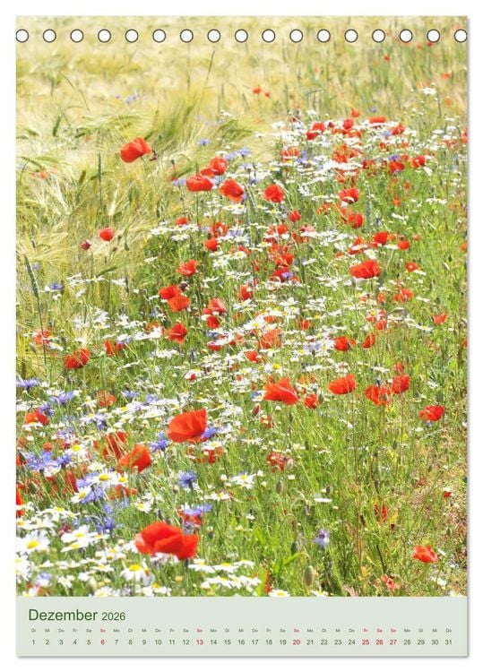 Produktbild: Mohn im Feld (Tischkalender 2026 DIN A5 hoch), CALVENDO Monatskalender