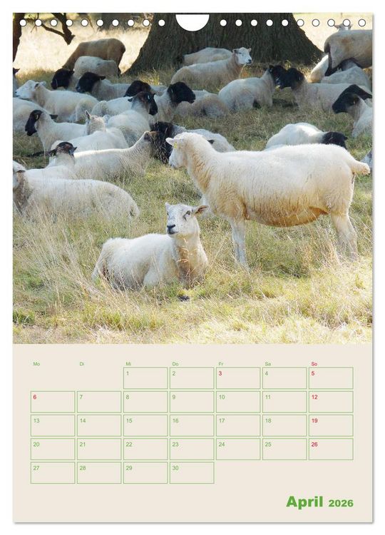 Produktbild: East Anglia - Englands wundersch&ouml;ner Osten (Wandkalender 2026 DIN A4 hoch), CALVENDO Monatskalender