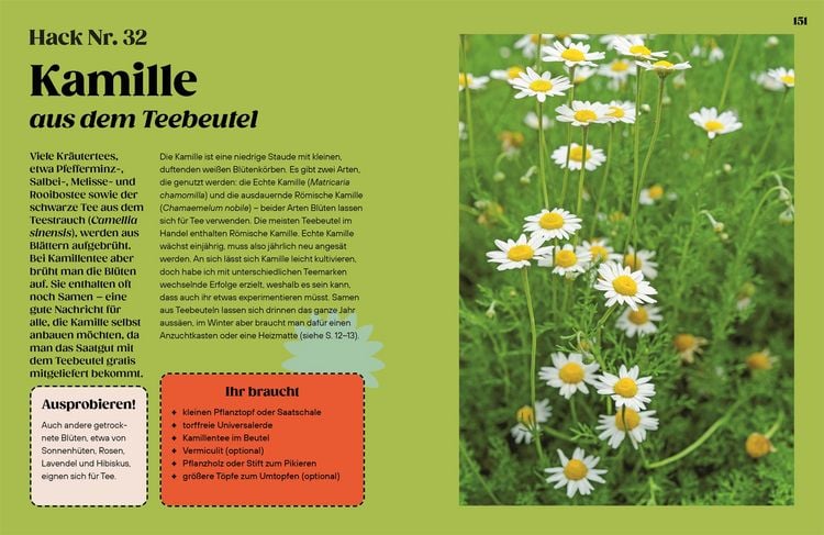 Produktbild: Regrow