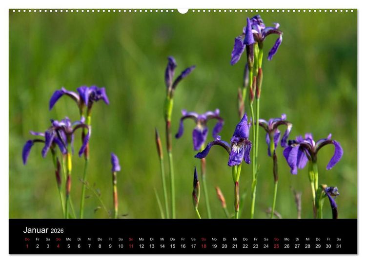 Produktbild: Sibirien- Impressionen von der Lena (hochwertiger Premium Wandkalender 2026 DIN A2 quer), Kunstdruck in Hochglanz
