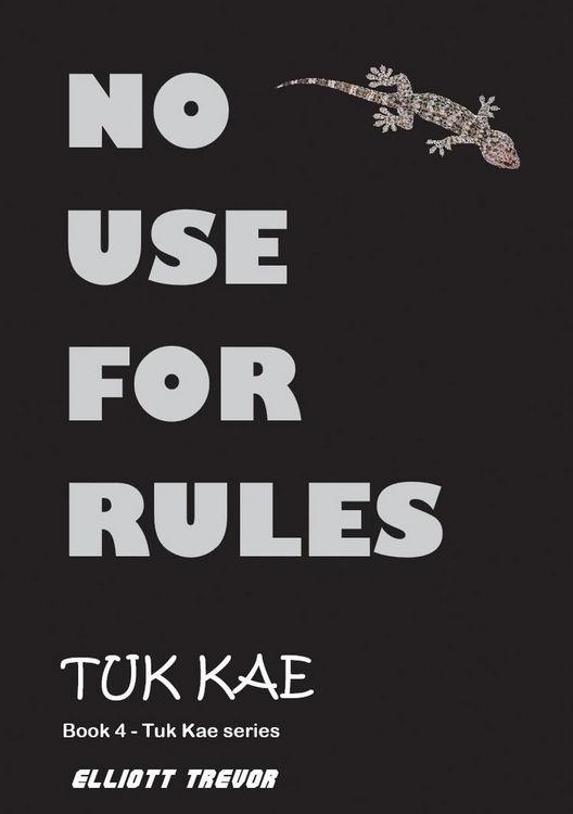 Produktbild: No Use For Rules (Tuk Kae Series)
