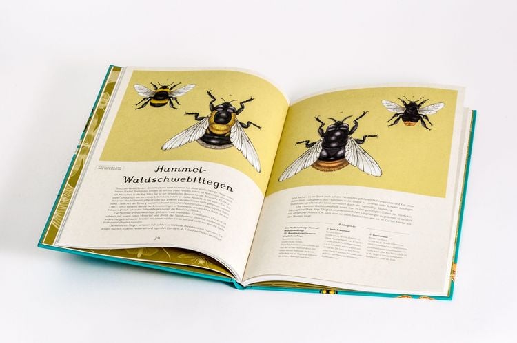 Produktbild: Das Museum der Insekten