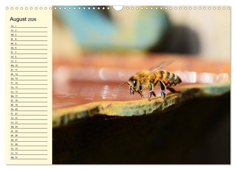 Produktbild: Flei&szlig;ige Bienen. Von der Bl&uuml;te bis zum Honig (Wandkalender 2026 DIN A3 quer), CALVENDO Monatskalender