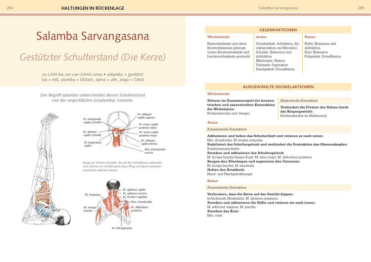 Produktbild: Yoga-Anatomie