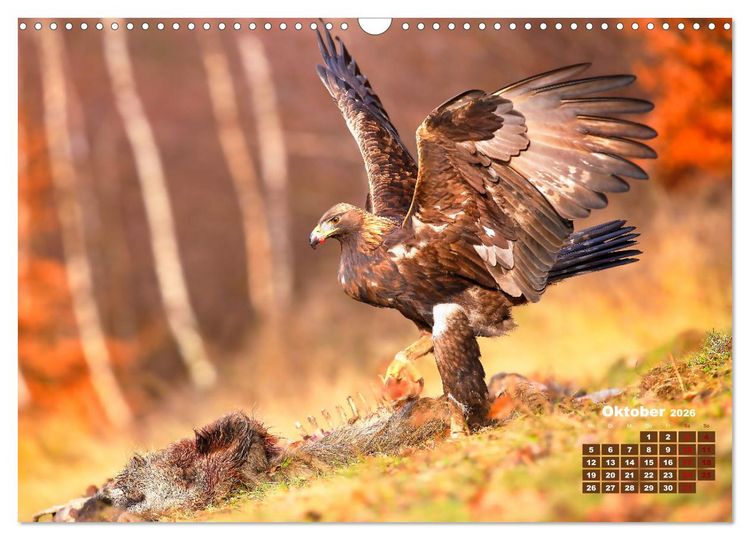 Produktbild: Tiere in freier Wildbahn by VogtArt (Wandkalender 2026 DIN A3 quer), CALVENDO Monatskalender