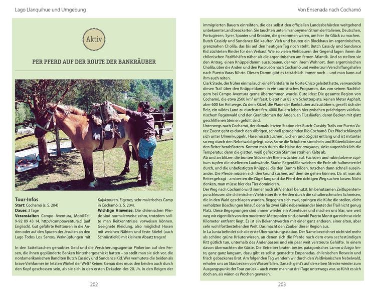 Produktbild: DUMONT Reise-Handbuch Reisef&uuml;hrer Chile mit Osterinsel