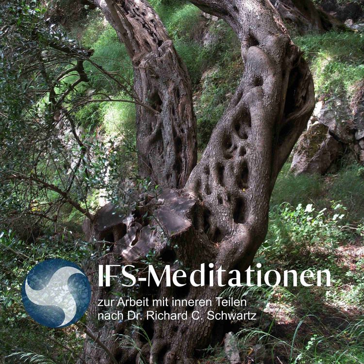 Produktbild: IFS-Meditationen zur Arbeit mit inneren Teilen nach Dr. Richard C. Schwartz
