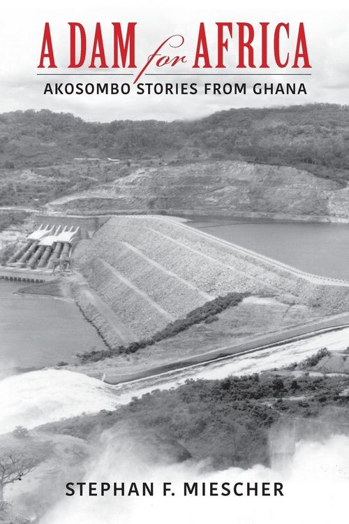 Produktbild: Dam for Africa