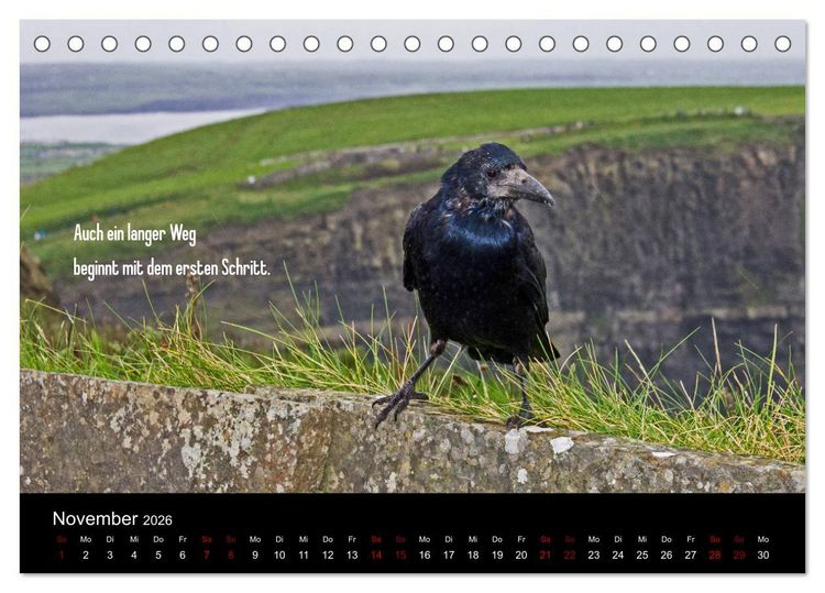 Produktbild: Irland - Irische Segensw&uuml;nsche (Tischkalender 2026 DIN A5 quer), CALVENDO Monatskalender