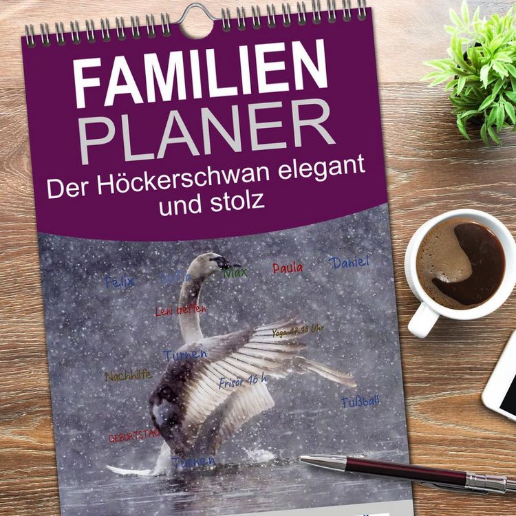 Produktbild: Familienplaner 2026 - Der H&ouml;ckerschwan elegant und stolz mit 5 Spalten (Wandkalender, 21 x 45 cm) CALVENDO