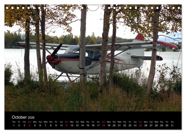 Produktbild: Alaska Wings (Wall Calendar 2026 DIN A4 landscape), CALVENDO 12 Month Wall Calendar