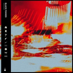 Produktbild: Black Foxxes