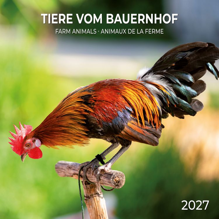 Produktbild: Tiere vom Bauernhof / Farm Animals 2027