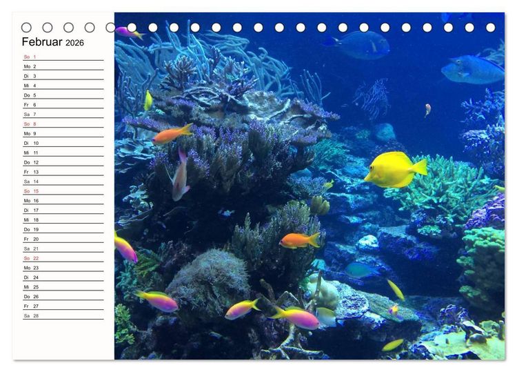 Produktbild: Paradiese. Karibik und S&uuml;dsee &uuml;ber und unter Wasser (Tischkalender 2026 DIN A5 quer), CALVENDO Monatskalender