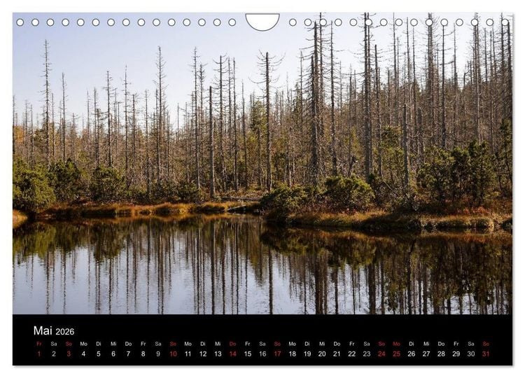 Produktbild: Zauberhafter Bayerischer Wald (Wandkalender 2026 DIN A4 quer), CALVENDO Monatskalender