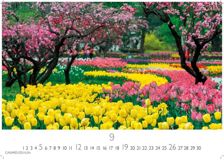 Produktbild: Gartenparadiese Kalender 2027- Der Kalender f&uuml;r alle, die G&auml;rten lieben - Wandkalender | Gartenkalender | Fotokalender Naturkalender 50x35cm