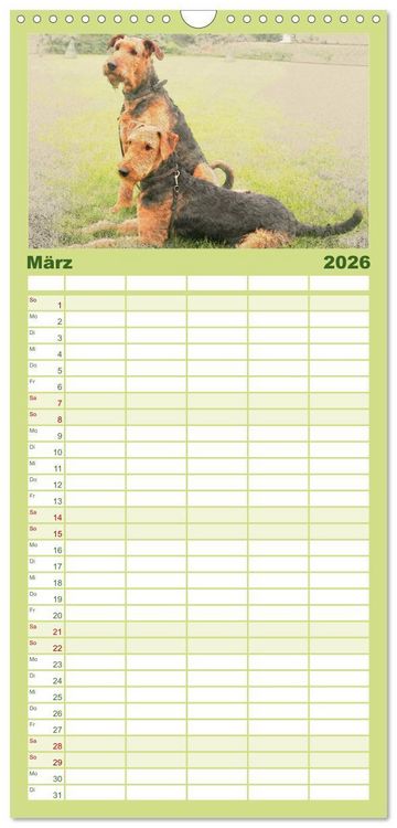 Produktbild: Familienplaner 2026 - Airedale Terrier 2026 mit 5 Spalten (Wandkalender, 21 x 45 cm) CALVENDO