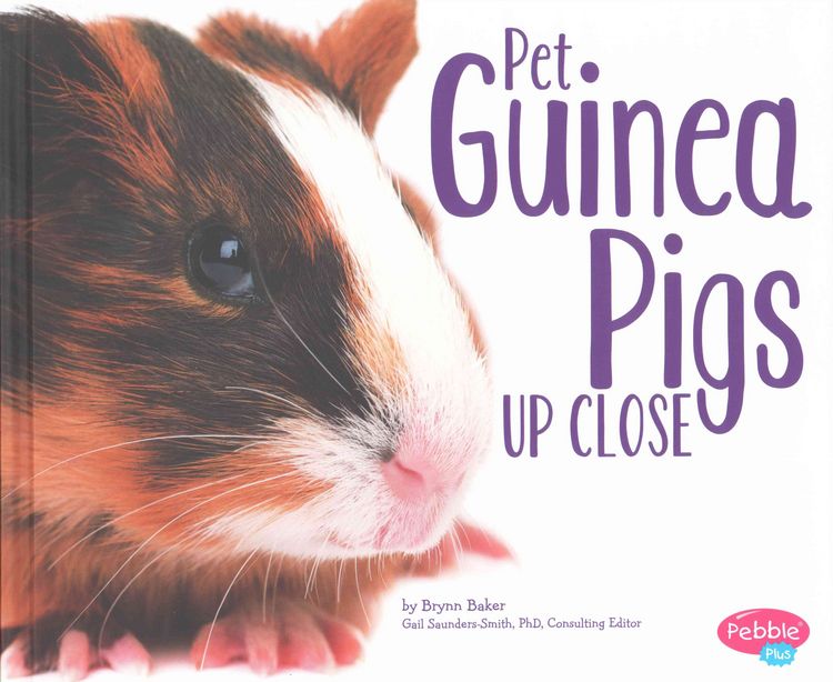 Produktbild: Baker, B: Pet Guinea Pigs Up Close