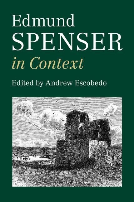 Produktbild: Edmund Spenser in Context