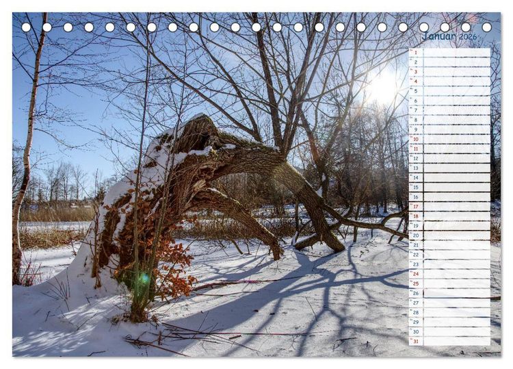 Produktbild: Zwischen Harz und Meer (Tischkalender 2026 DIN A5 quer), CALVENDO Monatskalender