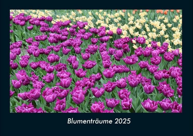 Produktbild: Blumenträume 2025 Fotokalender DIN A4
