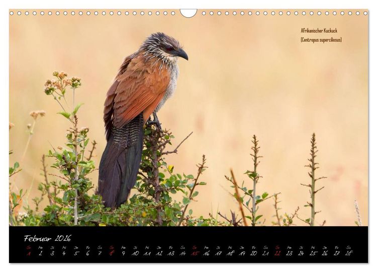 Produktbild: Faszination Afrika - wilde Tiere der Masai Mara - Kenia (Wandkalender 2026 DIN A3 quer), CALVENDO Monatskalender