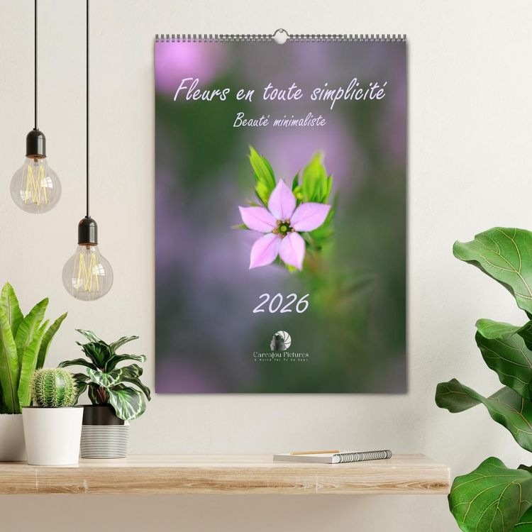 Produktbild: Fleurs en toute simplicit&eacute; - Beaut&eacute; minimaliste (Calendrier mural 2027 DIN A2 horizontal), CALVENDO calendrier mensuel