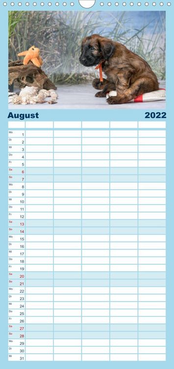 Produktbild: Briardbabys in ihren ersten Wochen - Familienplaner hoch (Wandkalender 2022 , 21 cm x 45 cm, hoch)