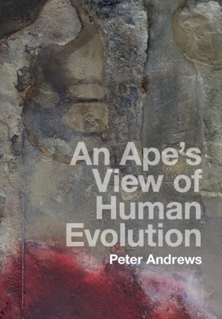 Produktbild: Ape's View of Human Evolution