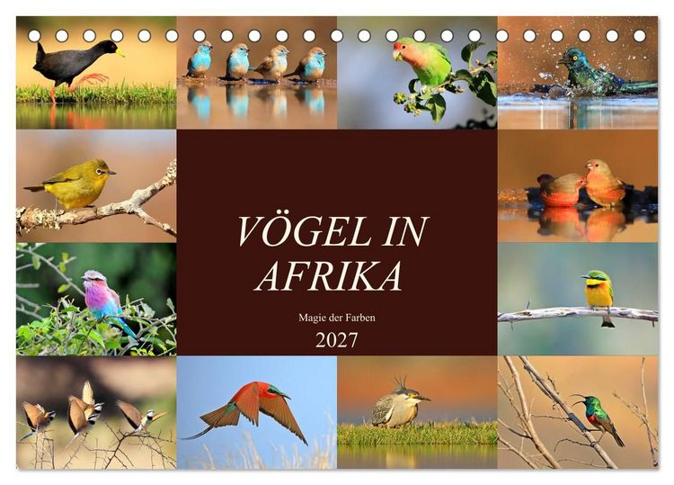 Produktbild: V&ouml;gel in Afrika - Magie der Farben (Tischkalender 2027 DIN A5 quer), CALVENDO Monatskalender
