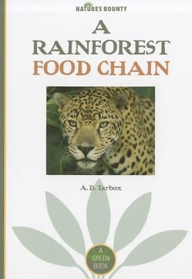 Produktbild: A Rainforest Food Chain