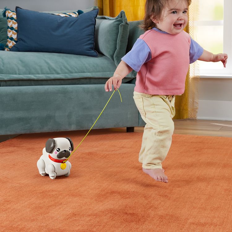 Produktbild: Fisher-Price esiel & Zieh Mops