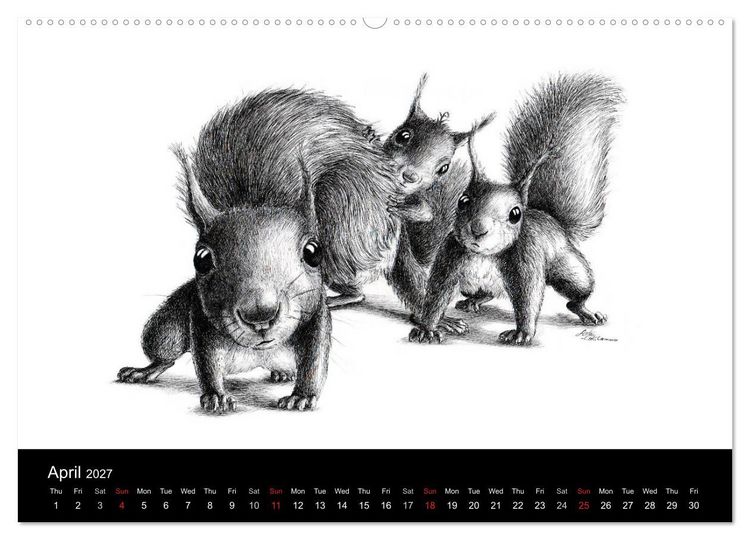 Produktbild: owls & friends 2027 (High Quality Premium Wall Calendar 2027 DIN A2 landscape),CALVENDO 12 Month Wall Calendar