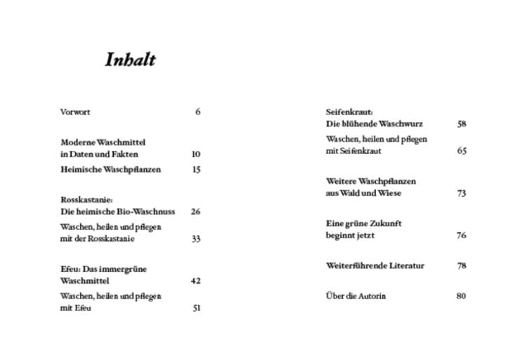 Produktbild: Das große kleine Buch: Naturwaschmittel aus Wald und Wiese