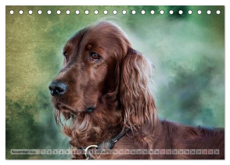 Produktbild: Jagdhunde im Portrait (Tischkalender 2026 DIN A5 quer), CALVENDO Monatskalender