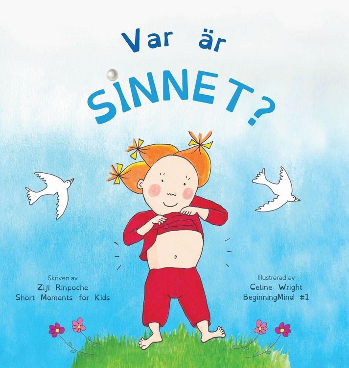 Produktbild: Var &auml;r sinnet?