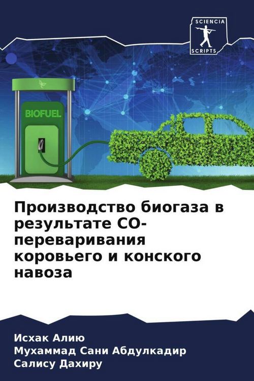 Produktbild: Proizwodstwo biogaza w rezul'tate CO-perewariwaniq korow'ego i konskogo nawoza