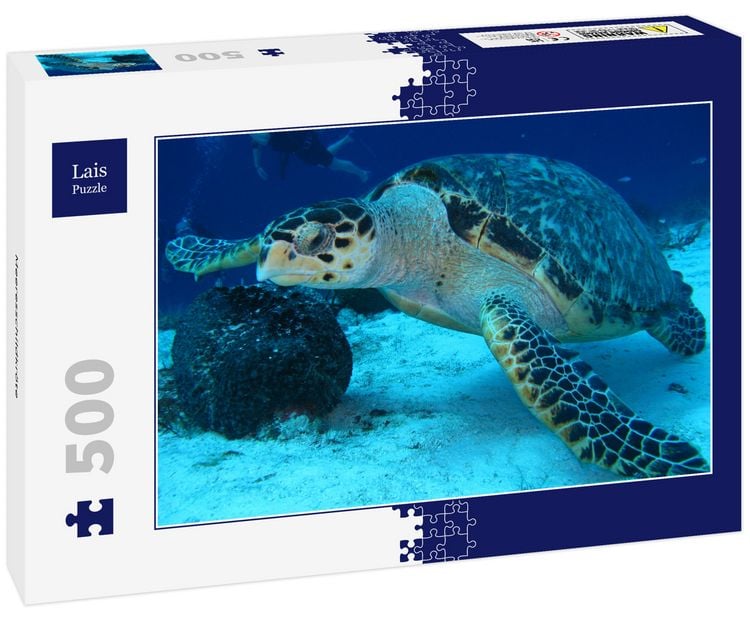 Produktbild: Lais Puzzle Meeresschildkr&ouml;te 500 Teile