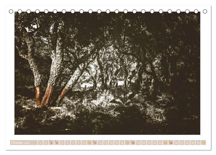Produktbild: Sardinien Impressionen (Tischkalender 2026 DIN A5 quer), CALVENDO Monatskalender