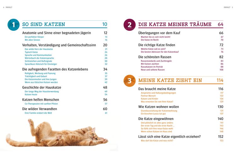 Produktbild: Praxishandbuch Katzen